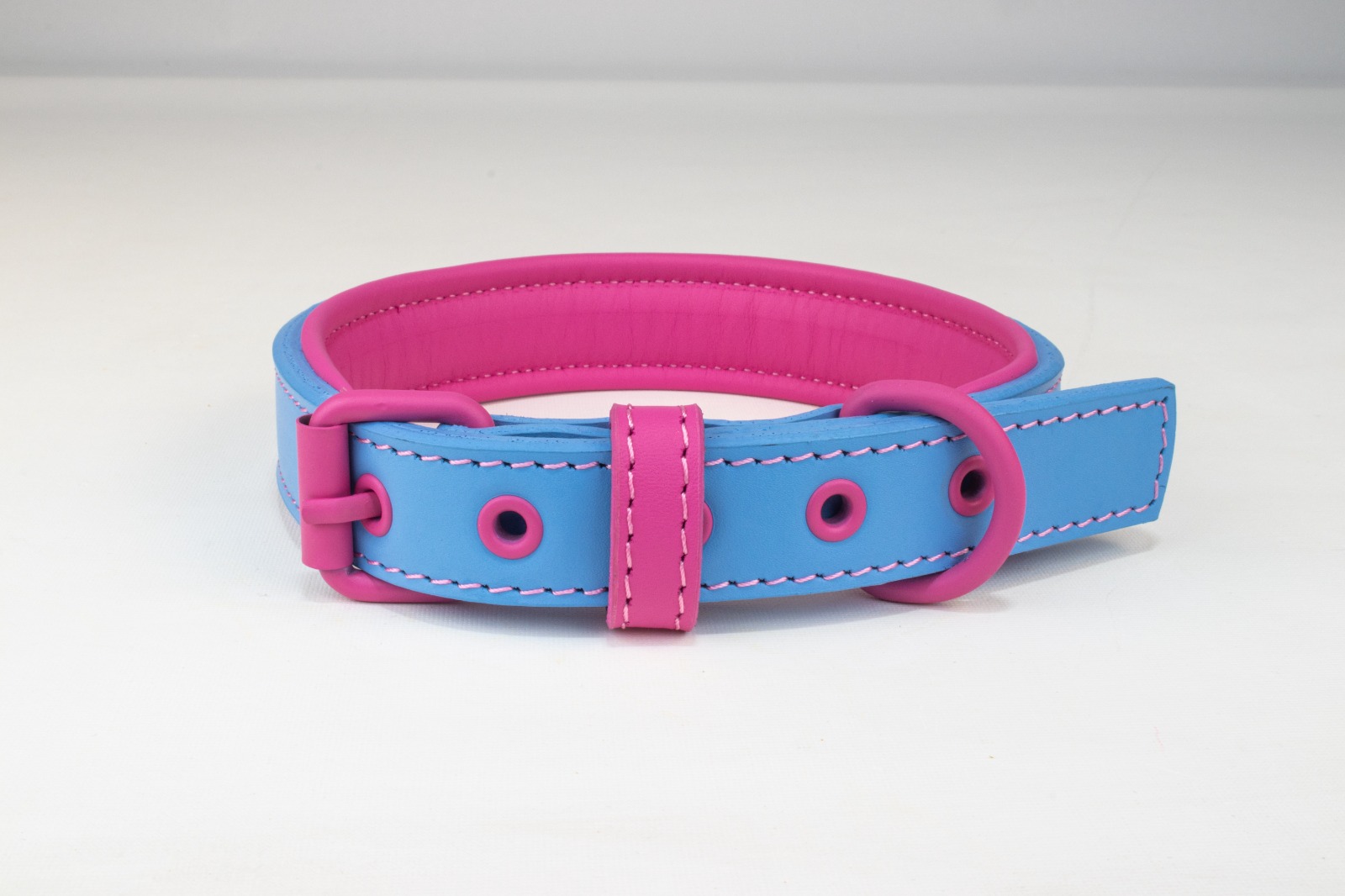 Different materials and features to look for in a high-quality dog collar