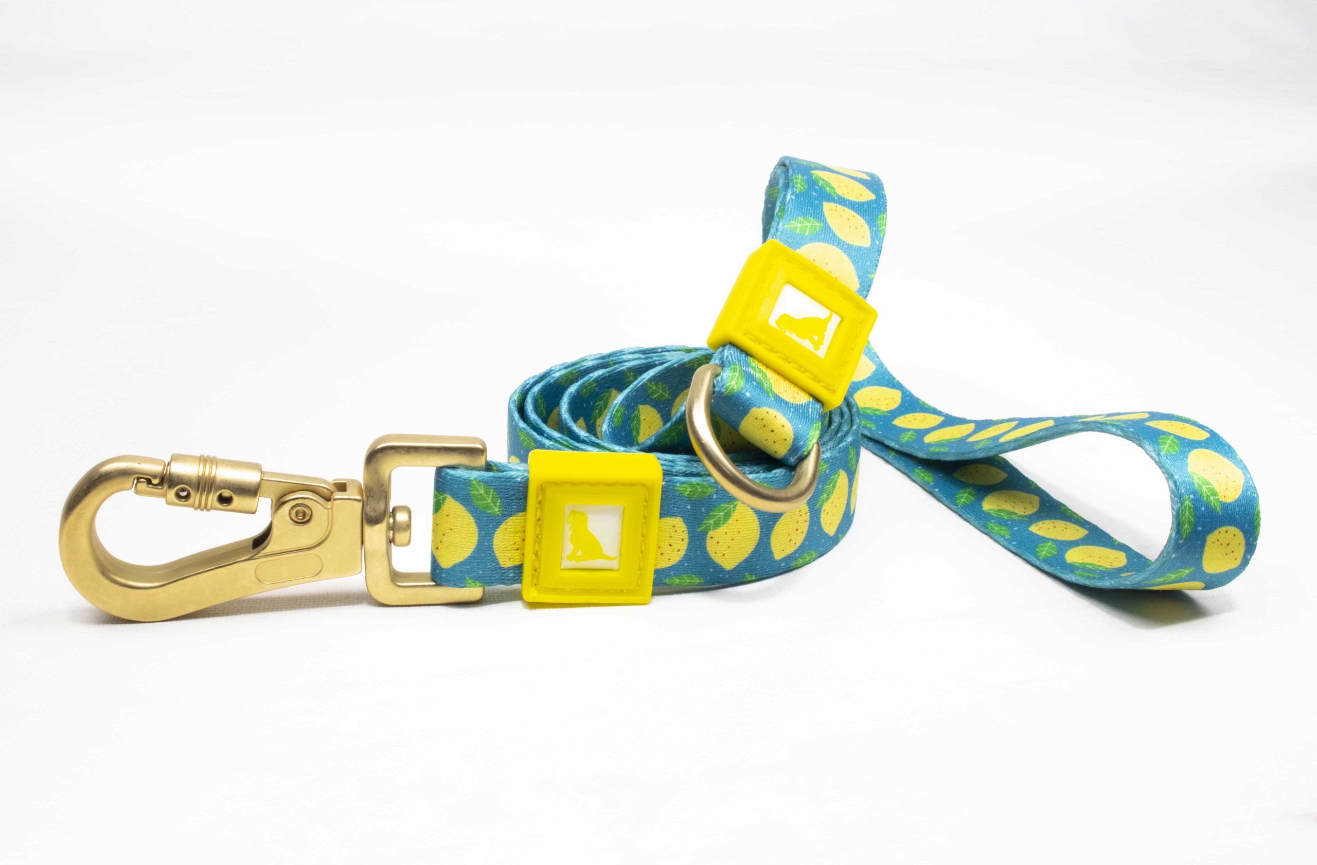 Run Series Leash Collar