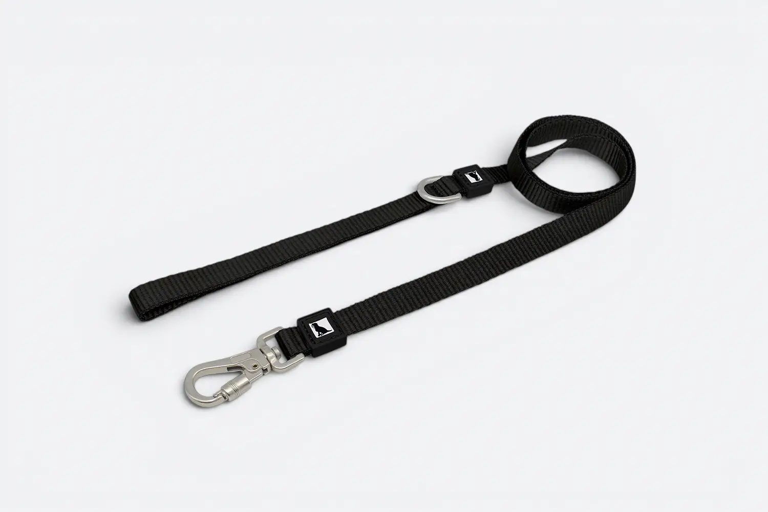 Basic dog leash