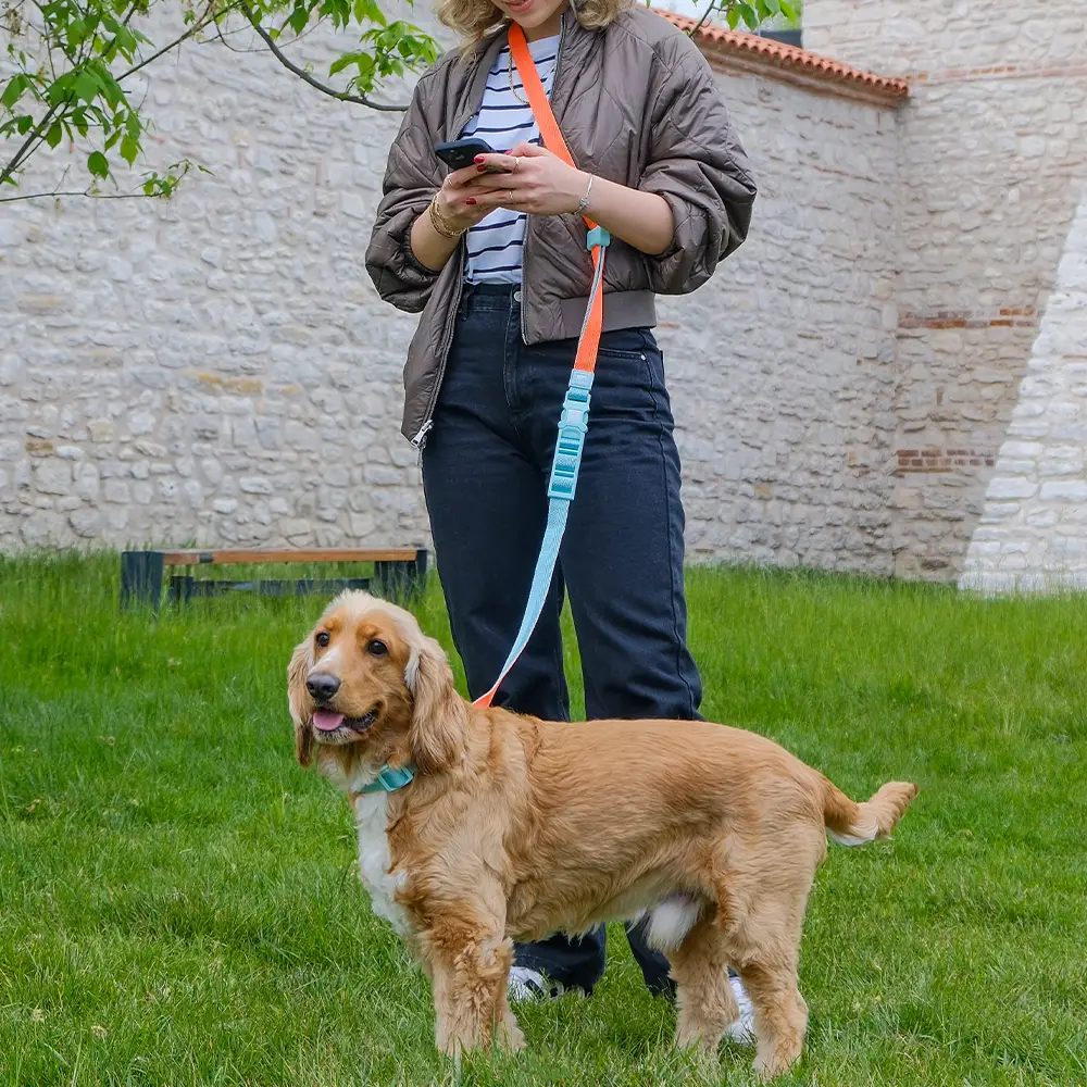 Hands-Free Leash